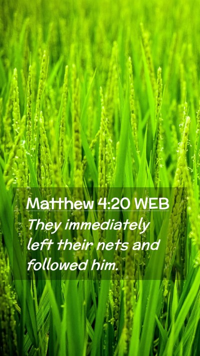 Picture 02 - Matthew 4:20 WEB Mobile Phone Wallpaper - They immediately left their nets and followed - Mobile Bible Verse Wallpaper