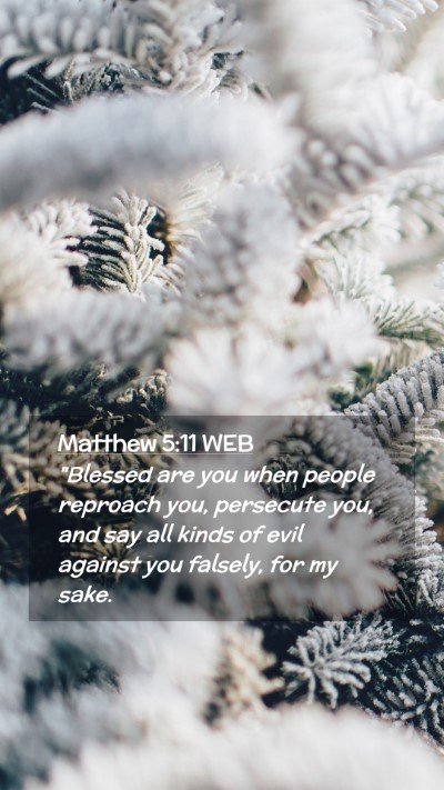 Picture 02 - Matthew 5:11 WEB Mobile Phone Wallpaper - 