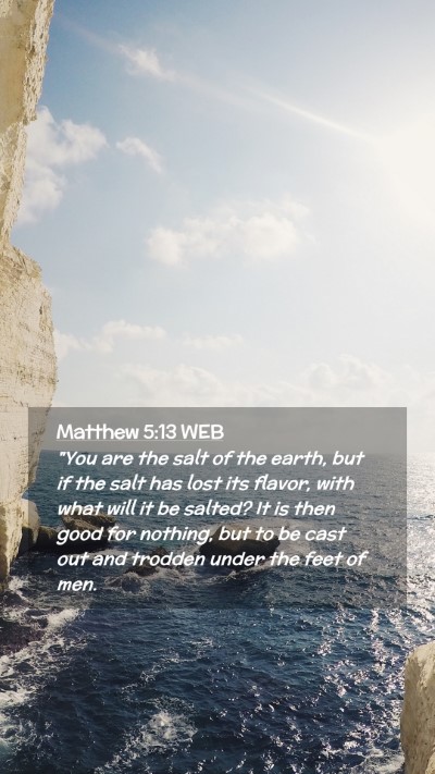 Picture 02 - Matthew 5:13 WEB Mobile Phone Wallpaper - 