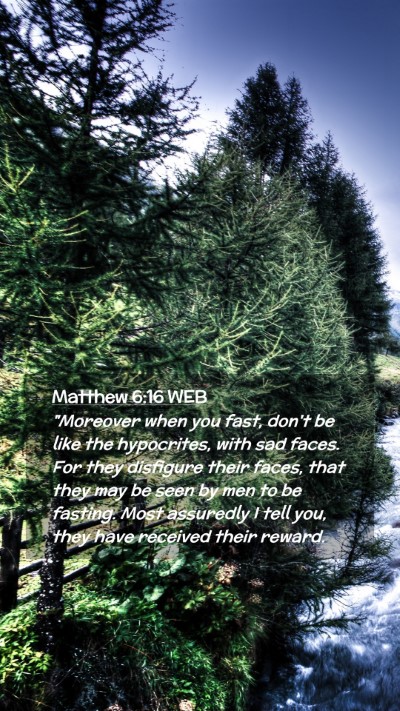 Picture 02 - Matthew 6:16 WEB Mobile Phone Wallpaper - 