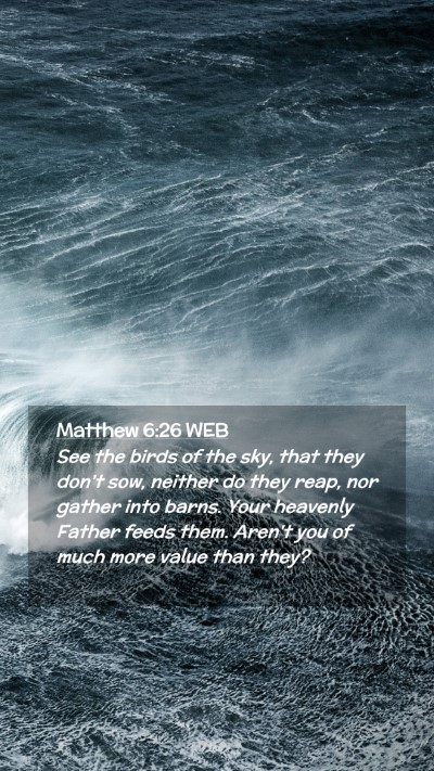 Picture 02 - Matthew 6:26 WEB Mobile Phone Wallpaper - See the birds of the sky, that they don't sow, - Mobile Bible Verse Wallpaper