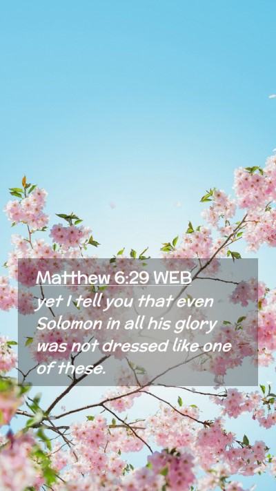 Picture 02 - Matthew 6:29 WEB Mobile Phone Wallpaper - yet I tell you that even Solomon in all his glory - Mobile Bible Verse Wallpaper