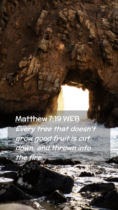 Picture 02 - Matthew 7:19 WEB Mobile Phone Wallpaper - Every tree that doesn't grow good fruit is cut - Mobile Bible Verse Wallpaper