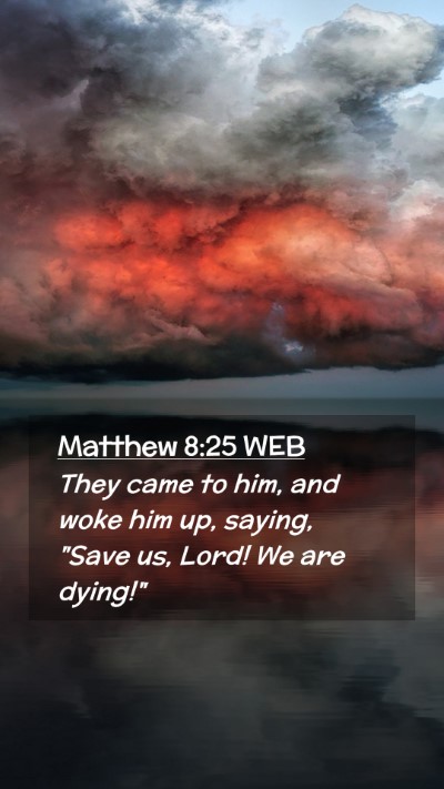 Picture 02 - Matthew 8:25 WEB Mobile Phone Wallpaper - They came to him, and woke him up, saying, 