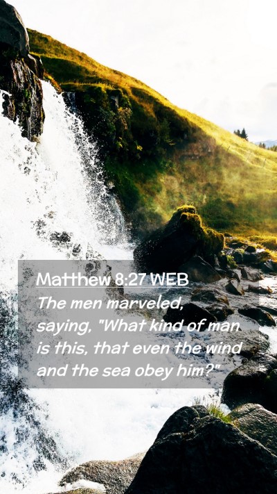 Picture 02 - Matthew 8:27 WEB Mobile Phone Wallpaper - The men marveled, saying, 