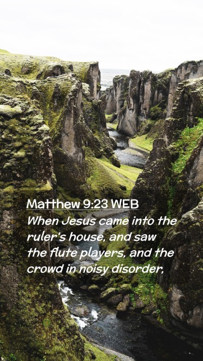Picture 02 - Matthew 9:23 WEB Mobile Phone Wallpaper - When Jesus came into the ruler's house, and saw - Mobile Bible Verse Wallpaper