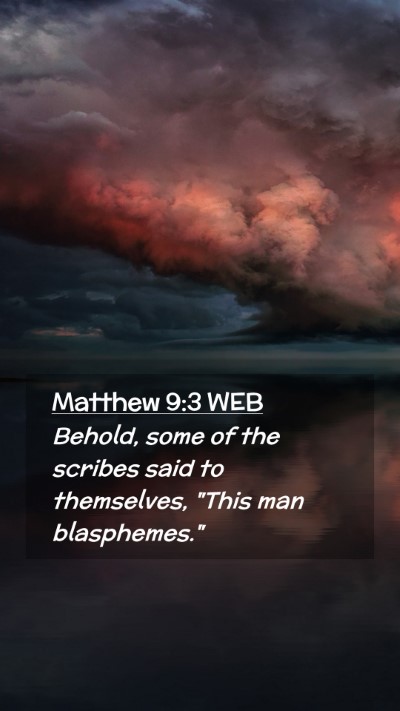 Picture 02 - Matthew 9:3 WEB Mobile Phone Wallpaper - Behold, some of the scribes said to themselves, - Mobile Bible Verse Wallpaper