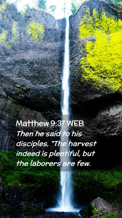 Picture 02 - Matthew 9:37 WEB Mobile Phone Wallpaper - Then he said to his disciples, 