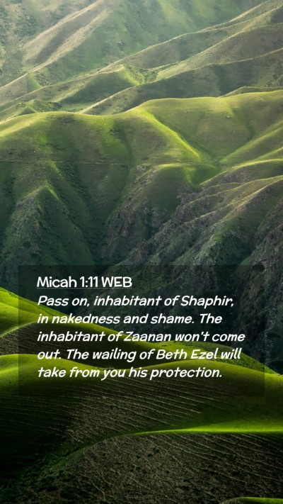 Picture 02 - Micah 1:11 WEB Mobile Phone Wallpaper - Pass on, inhabitant of Shaphir, in nakedness and - Mobile Bible Verse Wallpaper