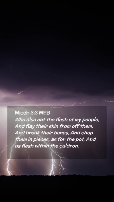 Picture 02 - Micah 3:3 WEB Mobile Phone Wallpaper - Who also eat the flesh of my people, And flay - Mobile Bible Verse Wallpaper