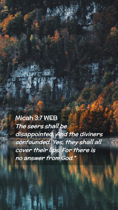 Picture 02 - Micah 3:7 WEB Mobile Phone Wallpaper - The seers shall be disappointed, And the diviners - Mobile Bible Verse Wallpaper