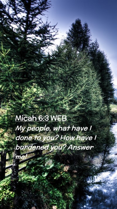 Picture 02 - Micah 6:3 WEB Mobile Phone Wallpaper - My people, what have I done to you? How have I - Mobile Bible Verse Wallpaper