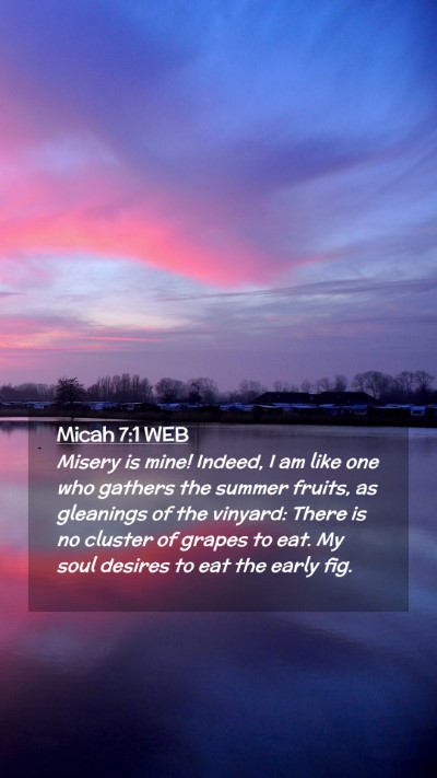 Picture 02 - Micah 7:1 WEB Mobile Phone Wallpaper - Misery is mine! Indeed, I am like one who gathers - Mobile Bible Verse Wallpaper