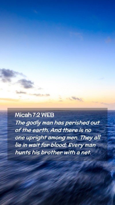 Picture 02 - Micah 7:2 WEB Mobile Phone Wallpaper - The godly man has perished out of the earth, And - Mobile Bible Verse Wallpaper