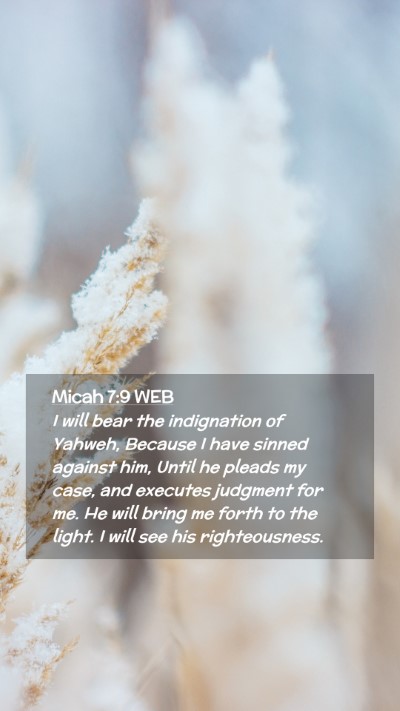 Picture 02 - Micah 7:9 WEB Mobile Phone Wallpaper - I will bear the indignation of Yahweh, Because I - Mobile Bible Verse Wallpaper