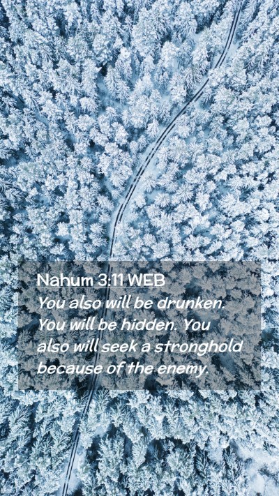 Picture 02 - Nahum 3:11 WEB Mobile Phone Wallpaper - You also will be drunken. You will be hidden. You - Mobile Bible Verse Wallpaper