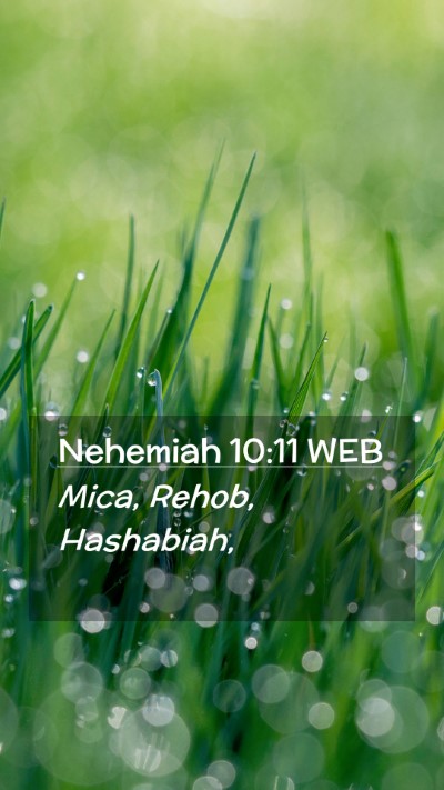 Picture 02 - Nehemiah 10:11 WEB Mobile Phone Wallpaper - Mica, Rehob, - Mobile Bible Verse Wallpaper