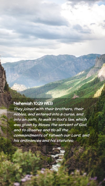 Picture 02 - Nehemiah 10:29 WEB Mobile Phone Wallpaper - They joined with their brothers, their nobles, - Mobile Bible Verse Wallpaper