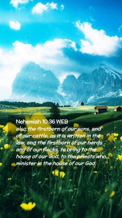 Picture 02 - Nehemiah 10:36 WEB Mobile Phone Wallpaper - also the firstborn of our sons, and of our - Mobile Bible Verse Wallpaper