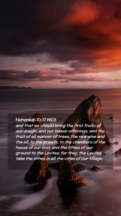 Picture 02 - Nehemiah 10:37 WEB Mobile Phone Wallpaper - and that we should bring the first fruits of our - Mobile Bible Verse Wallpaper