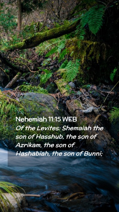 Picture 02 - Nehemiah 11:15 WEB Mobile Phone Wallpaper - Of the Levites: Shemaiah the son of Hasshub, the - Mobile Bible Verse Wallpaper