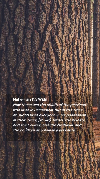 Picture 02 - Nehemiah 11:3 WEB Mobile Phone Wallpaper - Now these are the chiefs of the province who - Mobile Bible Verse Wallpaper
