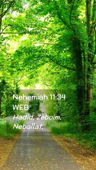 Picture 02 - Nehemiah 11:34 WEB Mobile Phone Wallpaper - Hadid, Zeboim, - Mobile Bible Verse Wallpaper