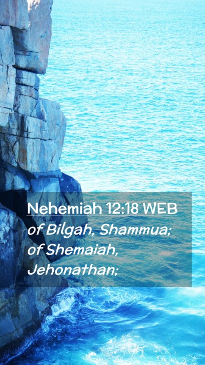 Picture 02 - Nehemiah 12:18 WEB Mobile Phone Wallpaper - of Bilgah, Shammua; of Shemaiah, - Mobile Bible Verse Wallpaper