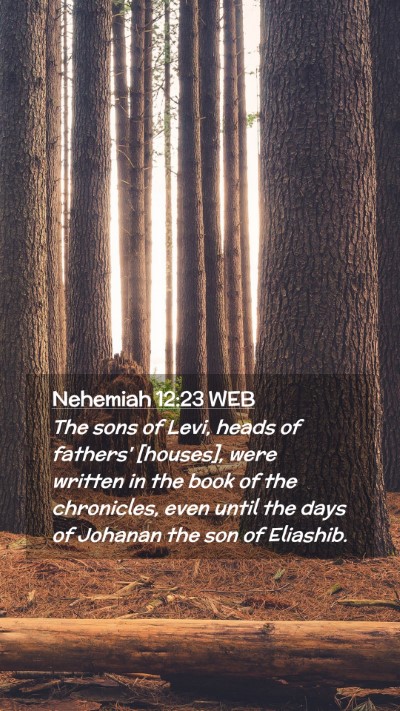 Picture 02 - Nehemiah 12:23 WEB Mobile Phone Wallpaper - The sons of Levi, heads of fathers' [houses], - Mobile Bible Verse Wallpaper
