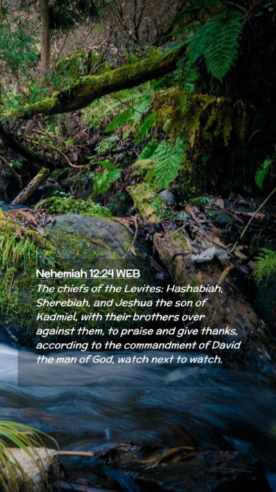 Picture 02 - Nehemiah 12:24 WEB Mobile Phone Wallpaper - The chiefs of the Levites: Hashabiah, Sherebiah, - Mobile Bible Verse Wallpaper