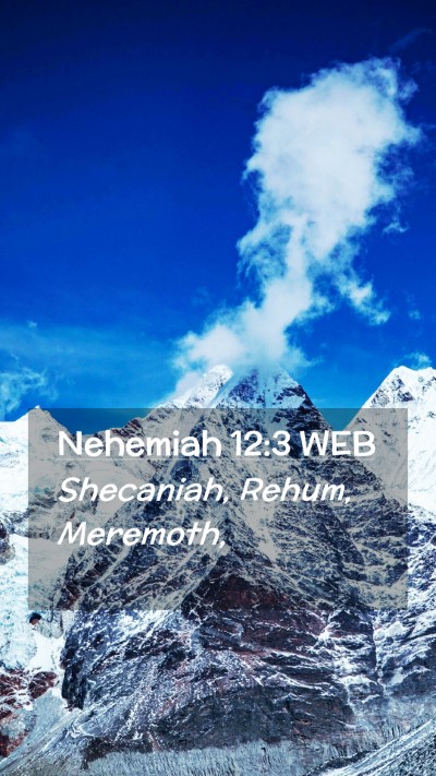 Picture 02 - Nehemiah 12:3 WEB Mobile Phone Wallpaper - Shecaniah, Rehum, - Mobile Bible Verse Wallpaper