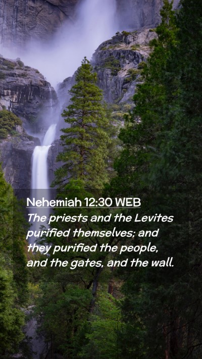 Picture 02 - Nehemiah 12:30 WEB Mobile Phone Wallpaper - The priests and the Levites purified themselves; - Mobile Bible Verse Wallpaper