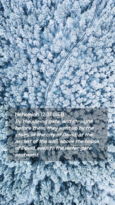 Picture 02 - Nehemiah 12:37 WEB Mobile Phone Wallpaper - By the spring gate, and straight before them, - Mobile Bible Verse Wallpaper