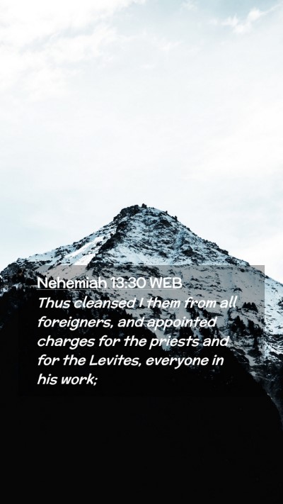 Picture 02 - Nehemiah 13:30 WEB Mobile Phone Wallpaper - Thus cleansed I them from all foreigners, and - Mobile Bible Verse Wallpaper