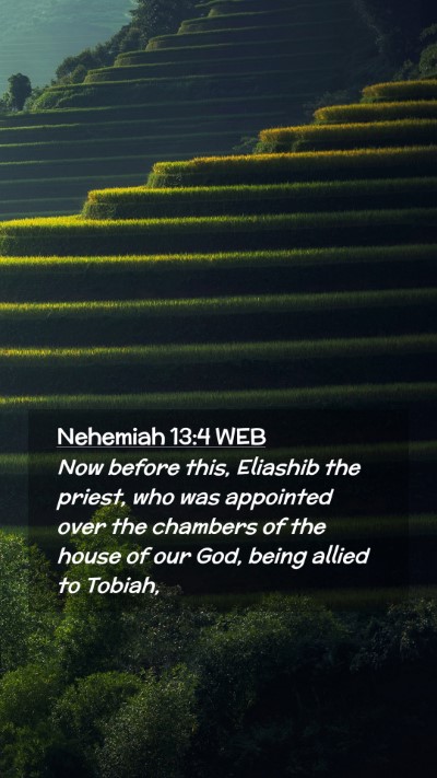 Picture 02 - Nehemiah 13:4 WEB Mobile Phone Wallpaper - Now before this, Eliashib the priest, who was - Mobile Bible Verse Wallpaper