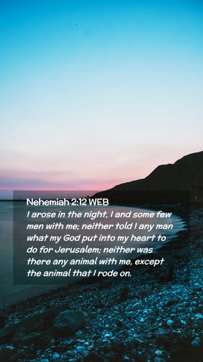 Picture 02 - Nehemiah 2:12 WEB Mobile Phone Wallpaper - I arose in the night, I and some few men with me; - Mobile Bible Verse Wallpaper