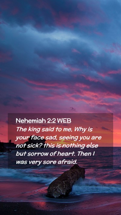 Picture 02 - Nehemiah 2:2 WEB Mobile Phone Wallpaper - The king said to me, Why is your face sad, seeing - Mobile Bible Verse Wallpaper