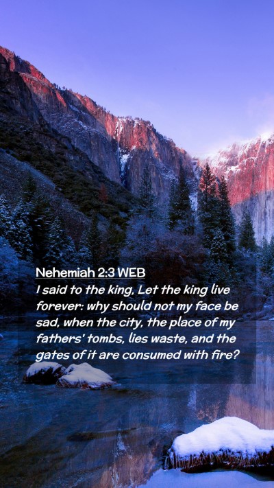 Picture 02 - Nehemiah 2:3 WEB Mobile Phone Wallpaper - I said to the king, Let the king live forever: - Mobile Bible Verse Wallpaper
