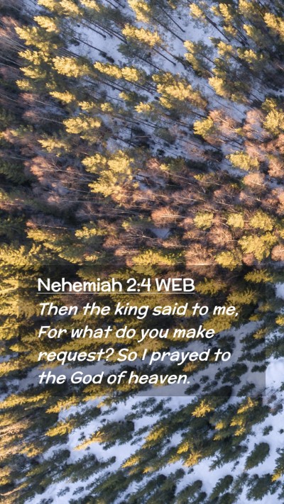 Picture 02 - Nehemiah 2:4 WEB Mobile Phone Wallpaper - Then the king said to me, For what do you make - Mobile Bible Verse Wallpaper