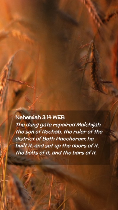 Picture 02 - Nehemiah 3:14 WEB Mobile Phone Wallpaper - The dung gate repaired Malchijah the son of - Mobile Bible Verse Wallpaper