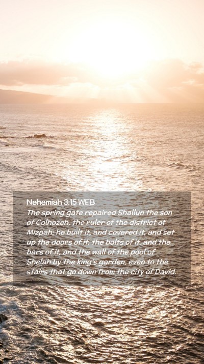 Picture 02 - Nehemiah 3:15 WEB Mobile Phone Wallpaper - The spring gate repaired Shallun the son of - Mobile Bible Verse Wallpaper