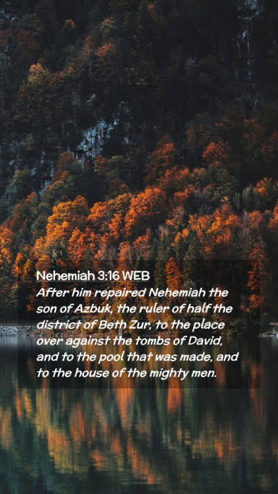 Picture 02 - Nehemiah 3:16 WEB Mobile Phone Wallpaper - After him repaired Nehemiah the son of Azbuk, the - Mobile Bible Verse Wallpaper