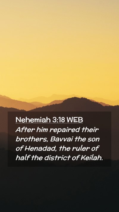 Picture 02 - Nehemiah 3:18 WEB Mobile Phone Wallpaper - After him repaired their brothers, Bavvai the son - Mobile Bible Verse Wallpaper