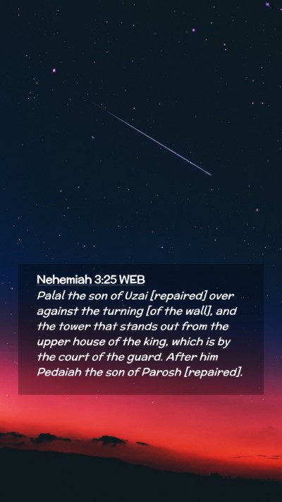 Picture 02 - Nehemiah 3:25 WEB Mobile Phone Wallpaper - Palal the son of Uzai [repaired] over against the - Mobile Bible Verse Wallpaper