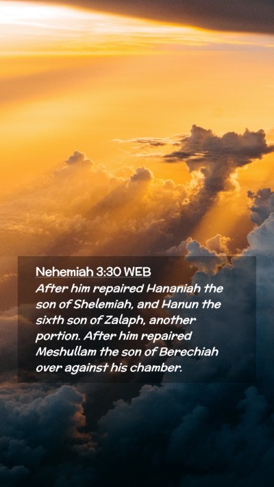 Picture 02 - Nehemiah 3:30 WEB Mobile Phone Wallpaper - After him repaired Hananiah the son of Shelemiah, - Mobile Bible Verse Wallpaper