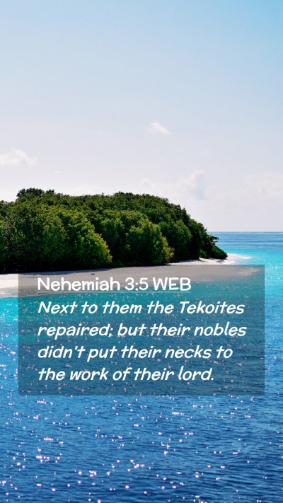 Picture 02 - Nehemiah 3:5 WEB Mobile Phone Wallpaper - Next to them the Tekoites repaired; but their - Mobile Bible Verse Wallpaper