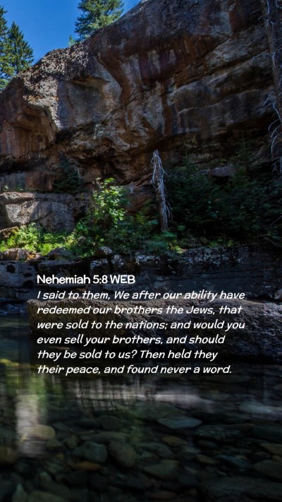 Picture 02 - Nehemiah 5:8 WEB Mobile Phone Wallpaper - I said to them, We after our ability have - Mobile Bible Verse Wallpaper