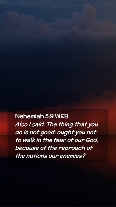Picture 02 - Nehemiah 5:9 WEB Mobile Phone Wallpaper - Also I said, The thing that you do is not good: - Mobile Bible Verse Wallpaper