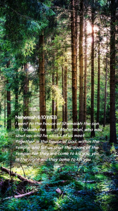 Picture 02 - Nehemiah 6:10 WEB Mobile Phone Wallpaper - I went to the house of Shemaiah the son of - Mobile Bible Verse Wallpaper