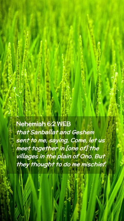 Picture 02 - Nehemiah 6:2 WEB Mobile Phone Wallpaper - that Sanballat and Geshem sent to me, saying, - Mobile Bible Verse Wallpaper
